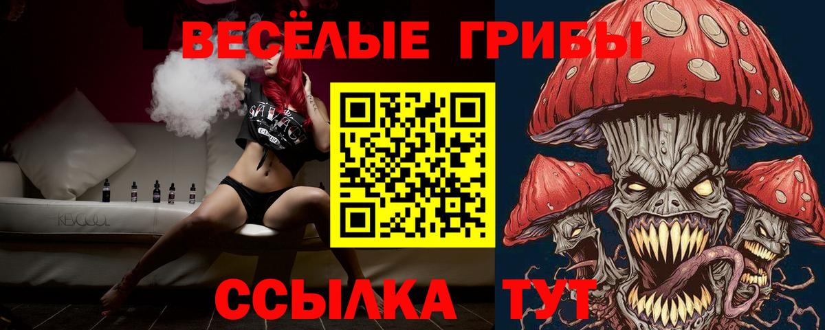 Псилоцибиновые грибы Cubensis  Вход с VPN  Апрелевка 